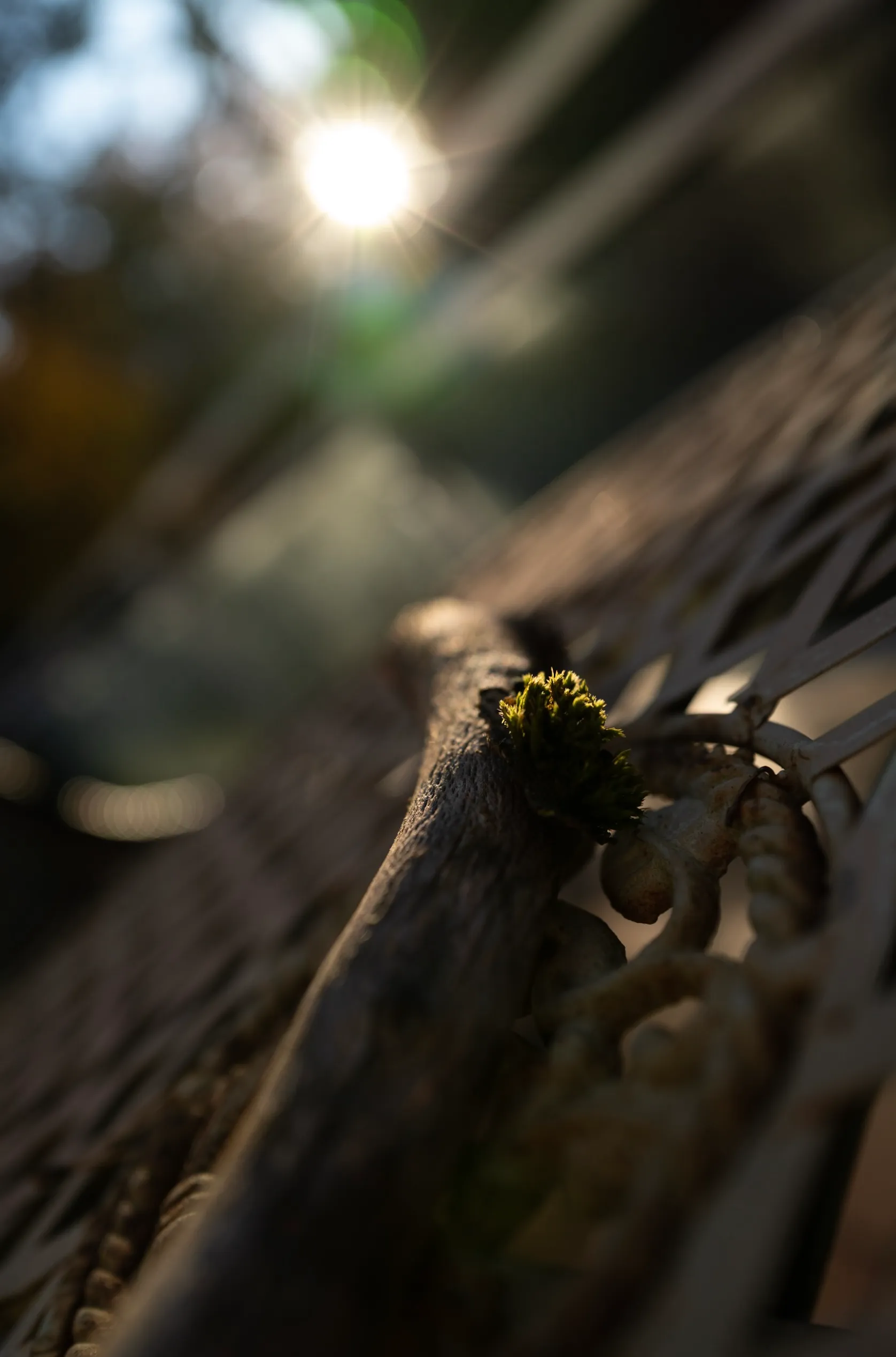 Evidence-based management